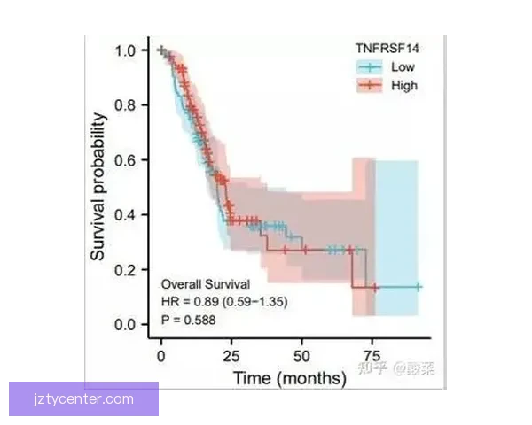 体育竞猜预测新思路 如何通过数据分析提升投注成功率